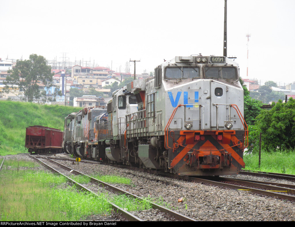 VLI 6031